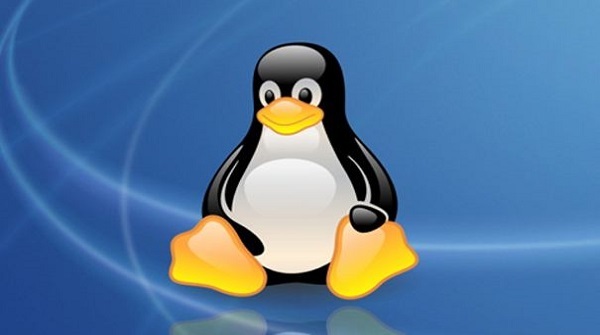 Linus Torvalds 谈 Linux 的长寿、社区和 Rust